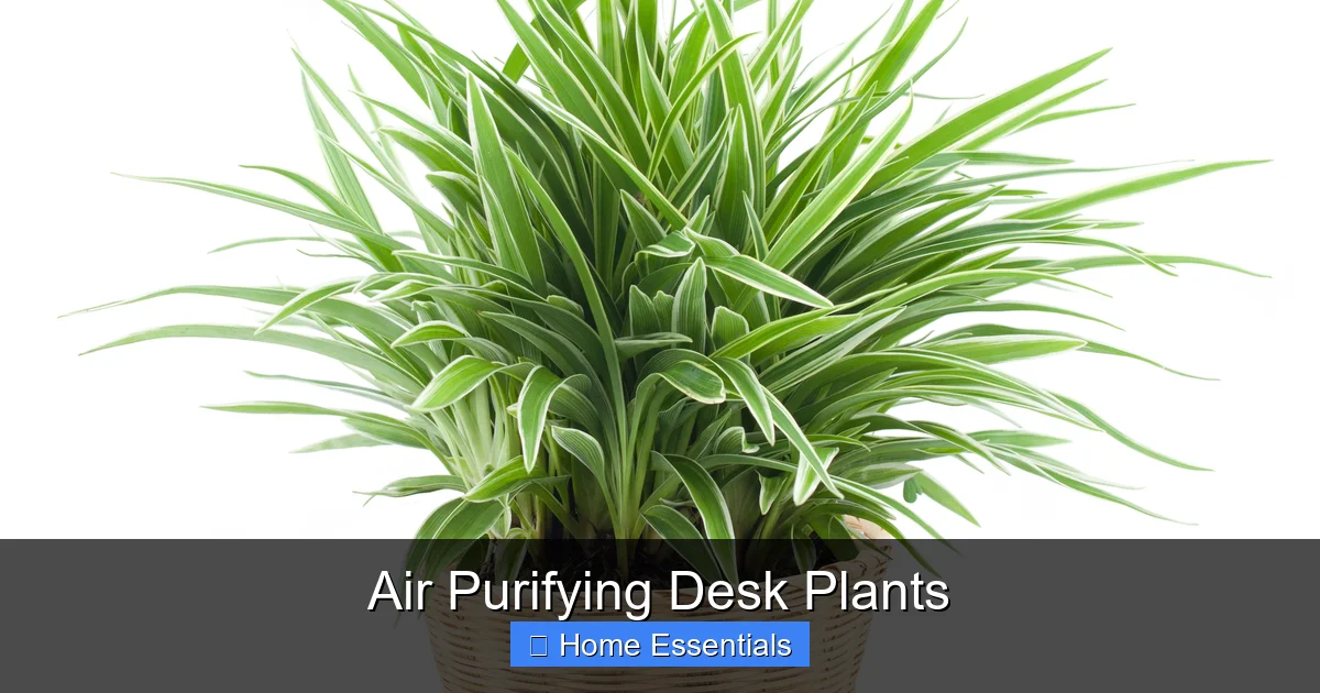 Air Purifying Desk Plants
