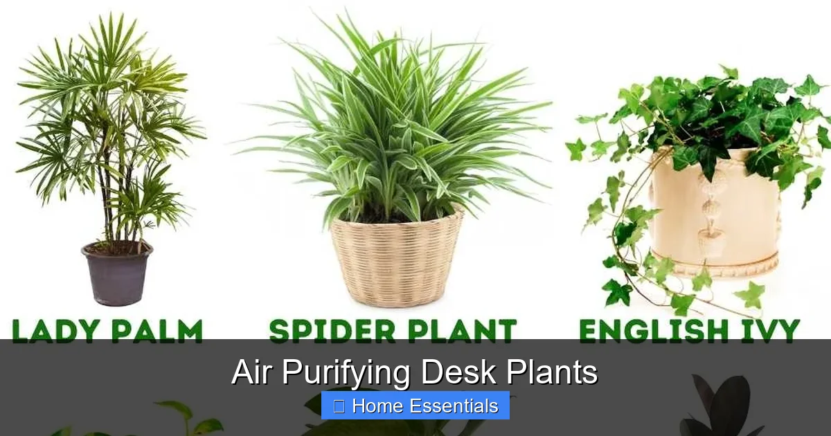 Air Purifying Desk Plants