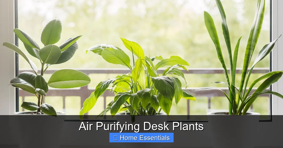 Air Purifying Desk Plants