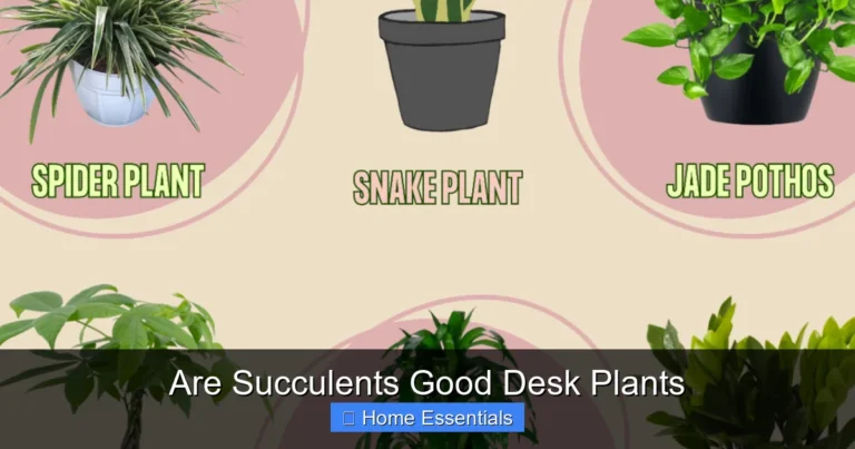 Are Succulents Good Desk Plants