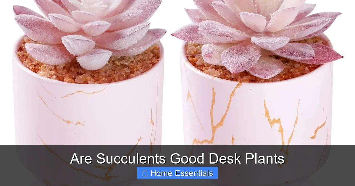 Are Succulents Good Desk Plants