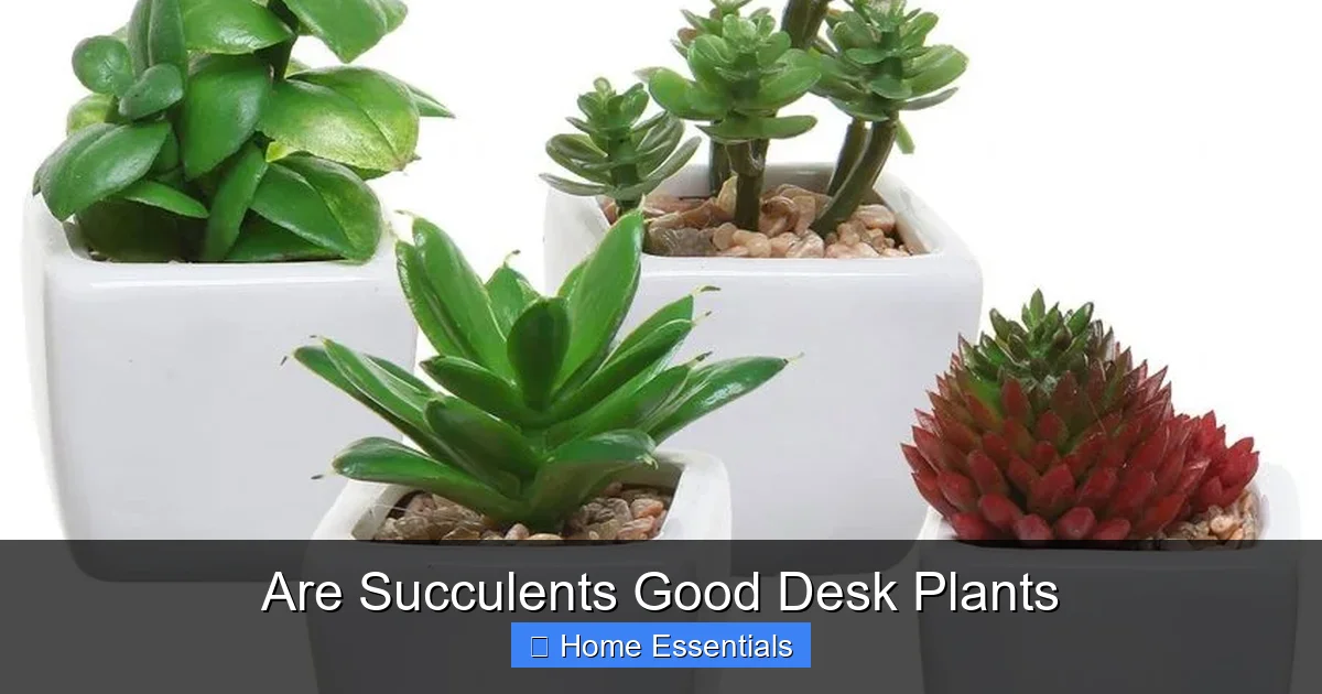 Are Succulents Good Desk Plants
