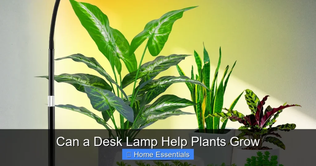Can a Desk Lamp Help Plants Grow
