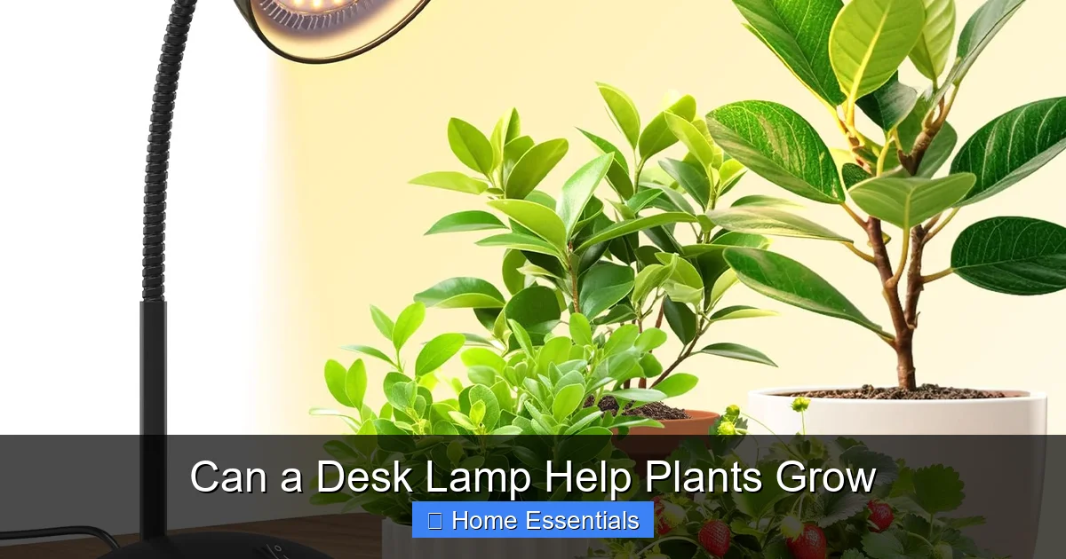 Can a Desk Lamp Help Plants Grow