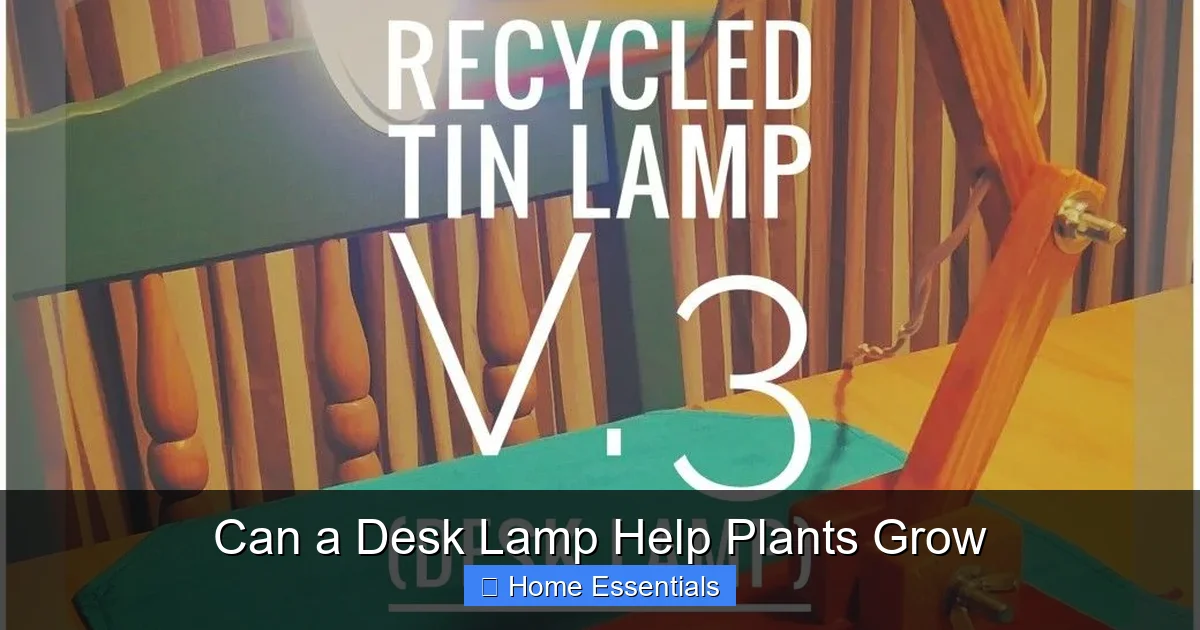 Can a Desk Lamp Help Plants Grow