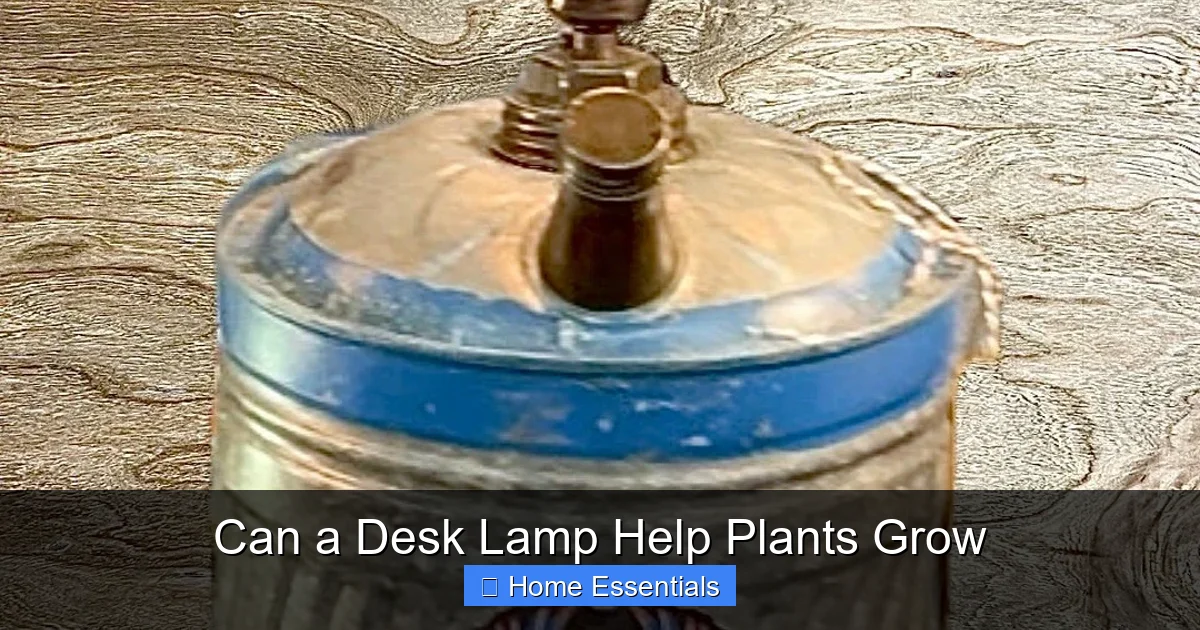 Can a Desk Lamp Help Plants Grow