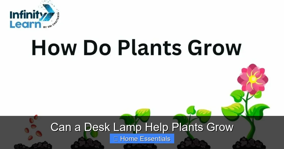 Can a Desk Lamp Help Plants Grow
