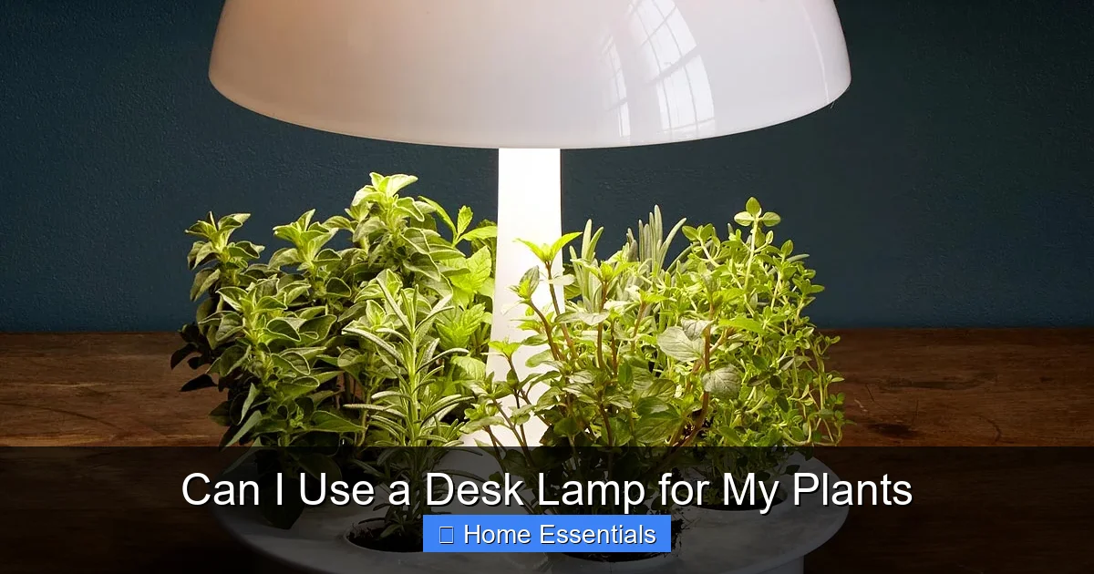 Can I Use a Desk Lamp for My Plants