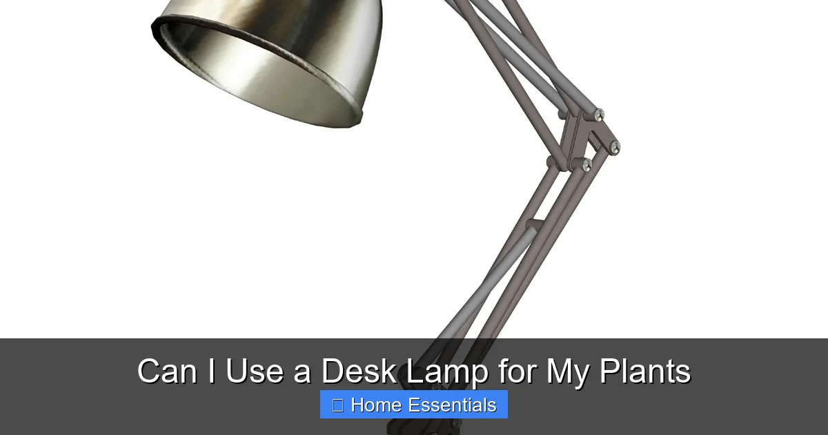Can I Use a Desk Lamp for My Plants