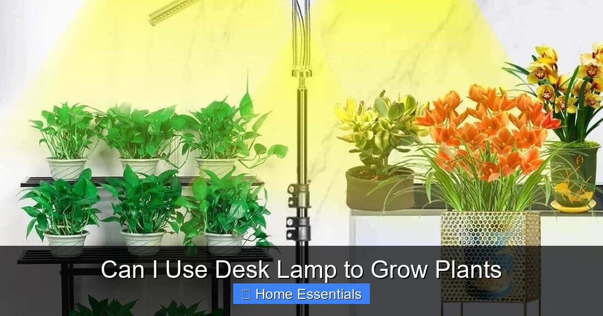 Can I Use Desk Lamp to Grow Plants