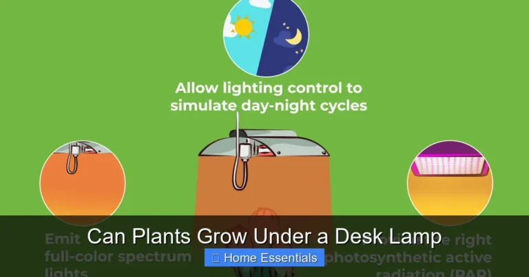 Can Plants Grow Under a Desk Lamp