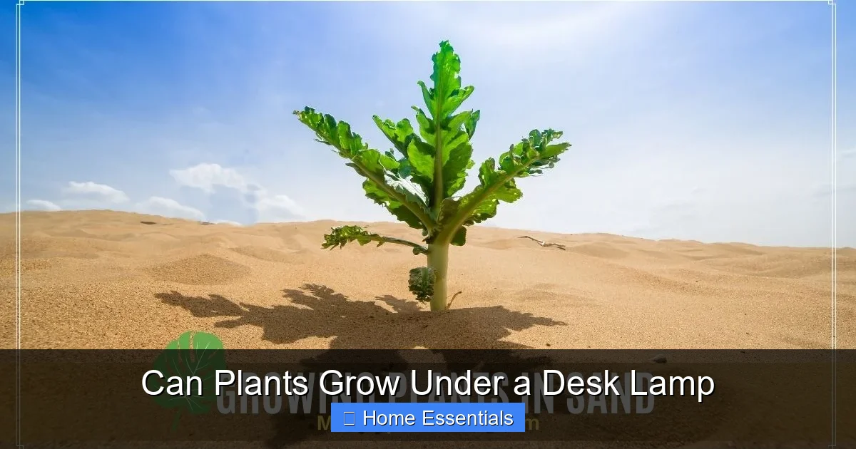 Can Plants Grow Under a Desk Lamp