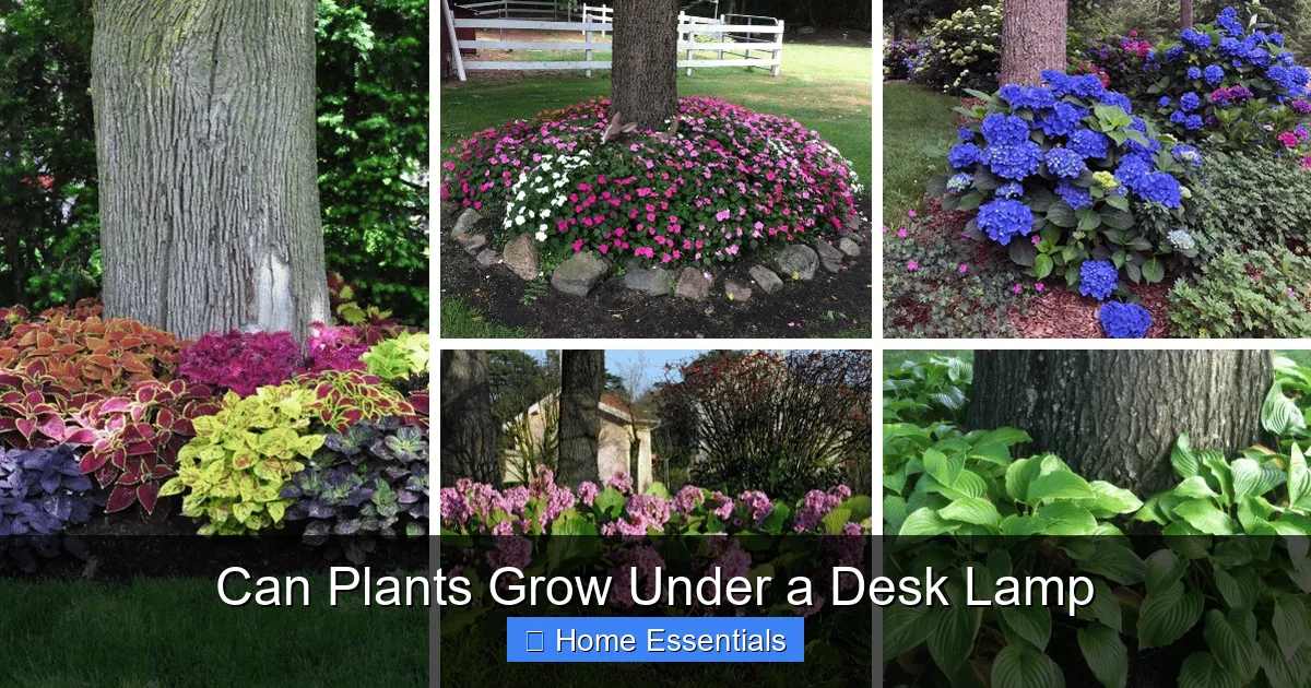 Can Plants Grow Under a Desk Lamp