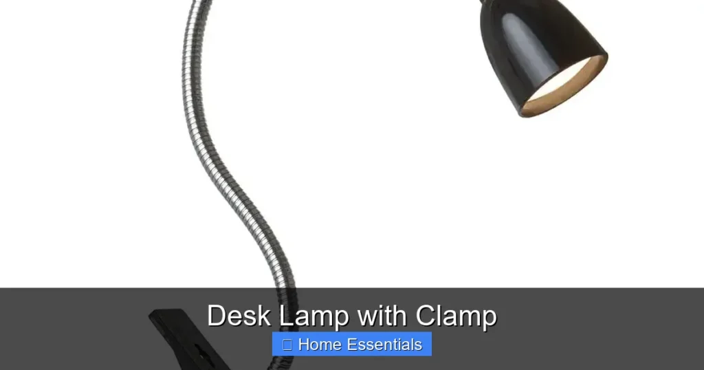 Desk Lamp with Clamp