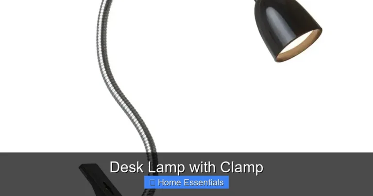 Desk Lamp with Clamp