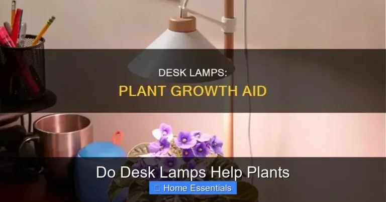 Do Desk Lamps Help Plants