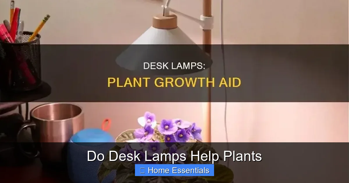 Do Desk Lamps Help Plants
