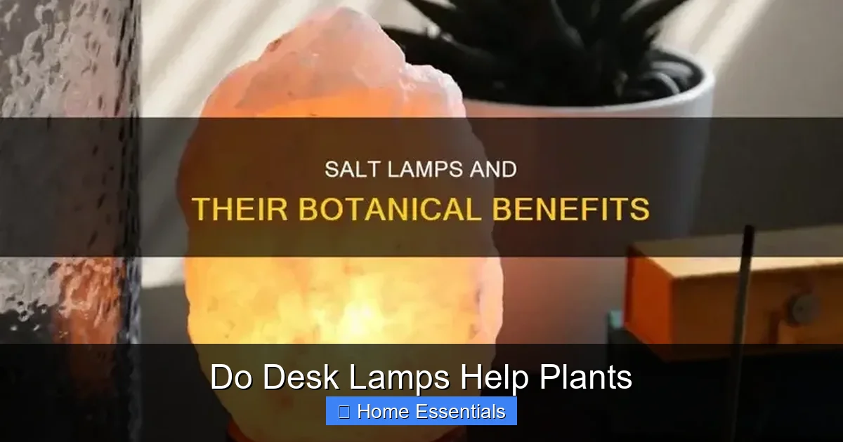 Do Desk Lamps Help Plants