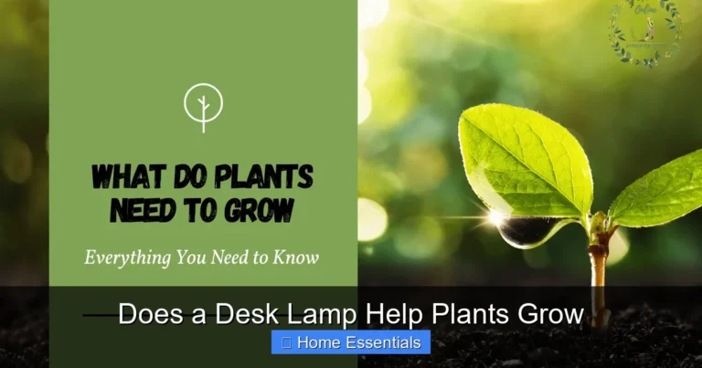 Does a Desk Lamp Help Plants Grow