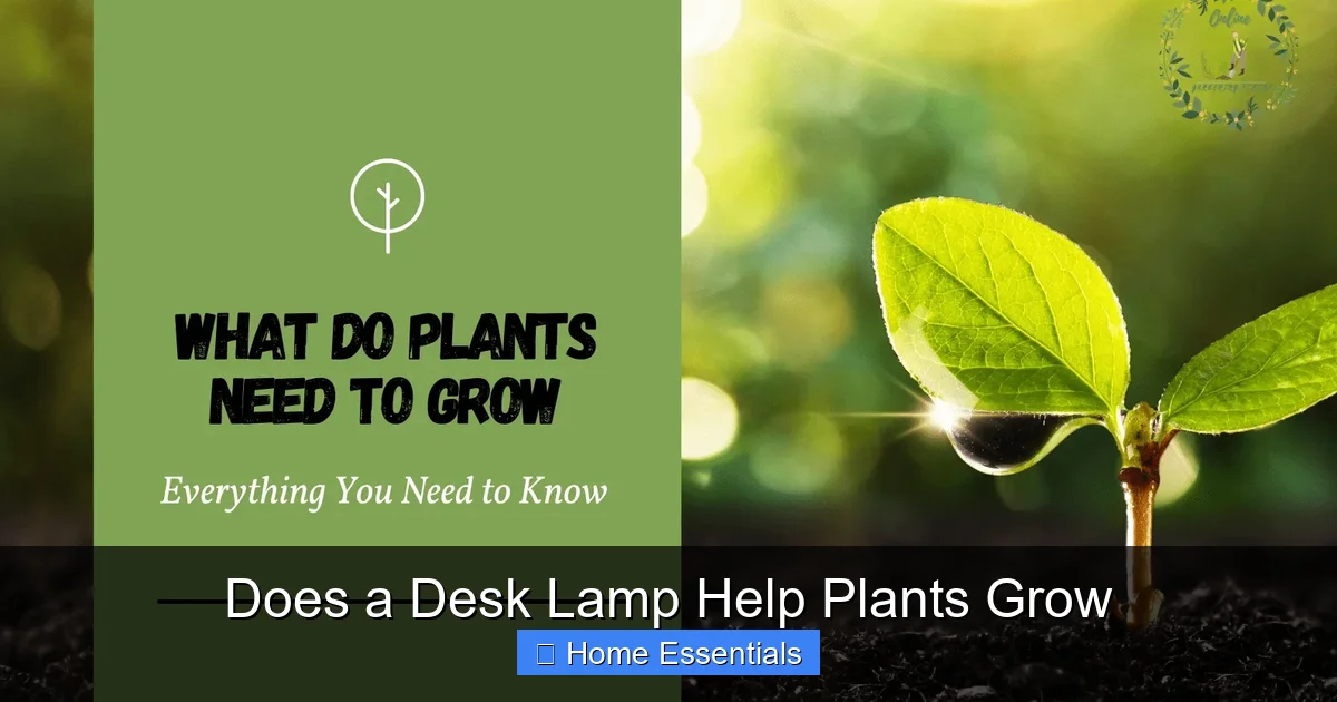 Does a Desk Lamp Help Plants Grow