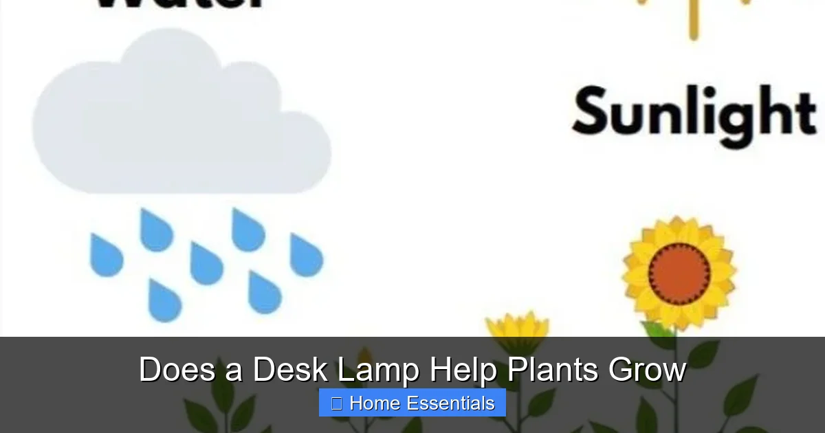 Does a Desk Lamp Help Plants Grow