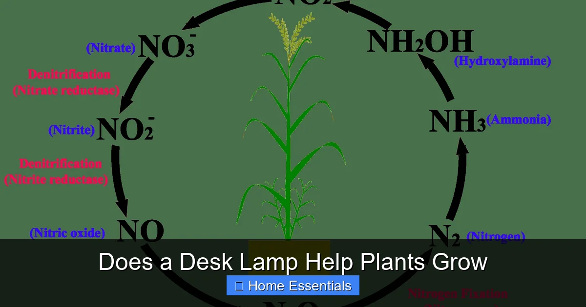 Does a Desk Lamp Help Plants Grow