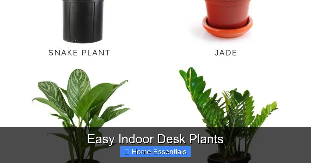 Easy Indoor Desk Plants