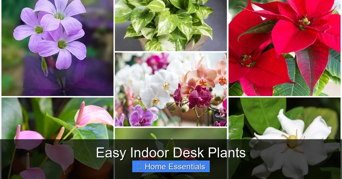 Easy Indoor Desk Plants