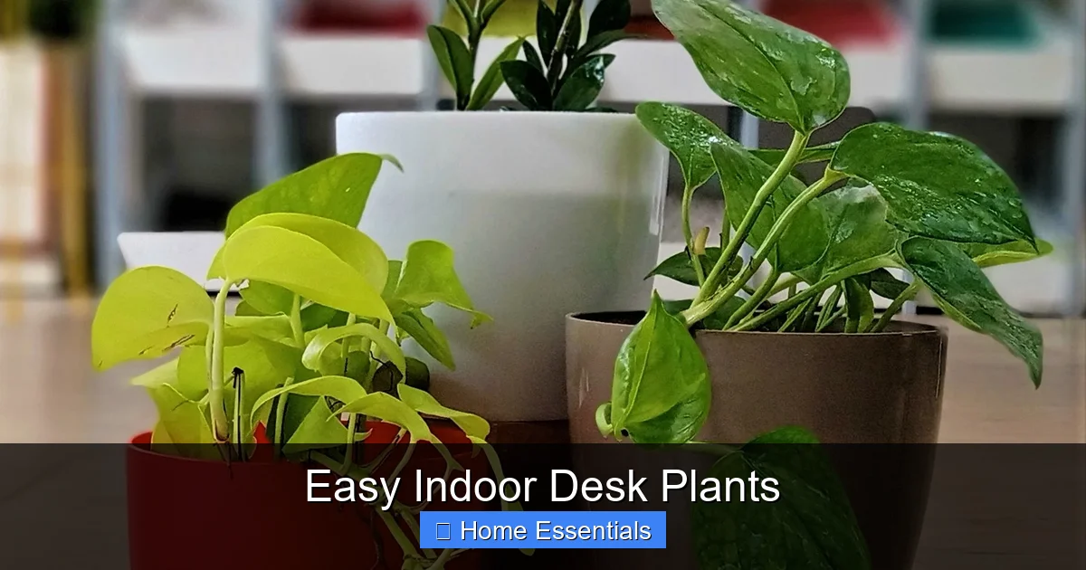 Easy Indoor Desk Plants