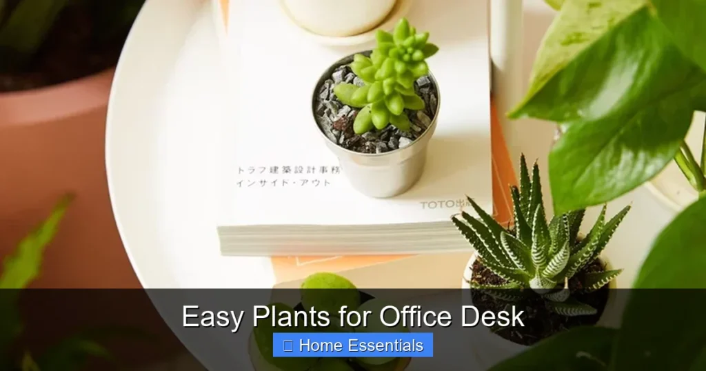 Easy Plants for Office Desk