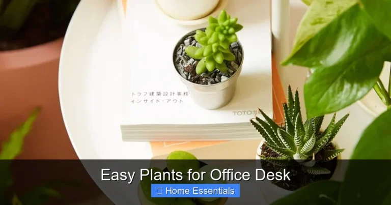 Easy Plants for Office Desk