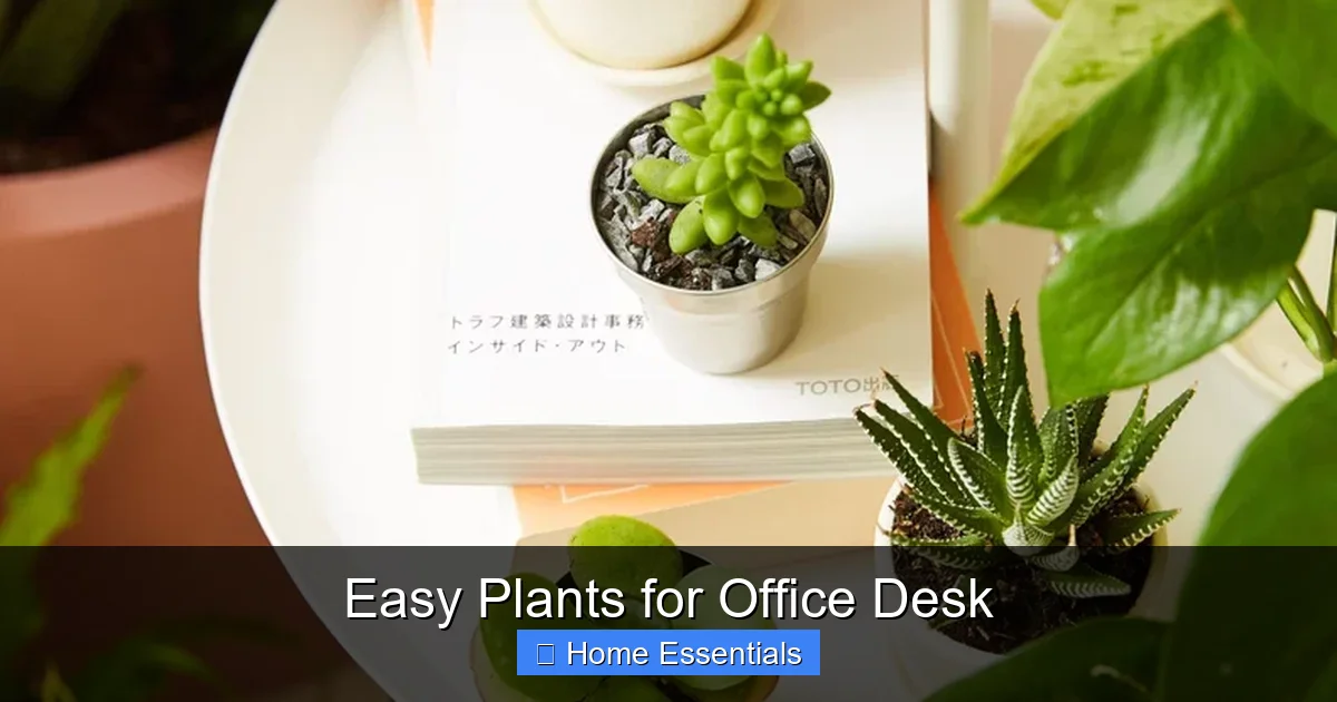 Easy Plants for Office Desk