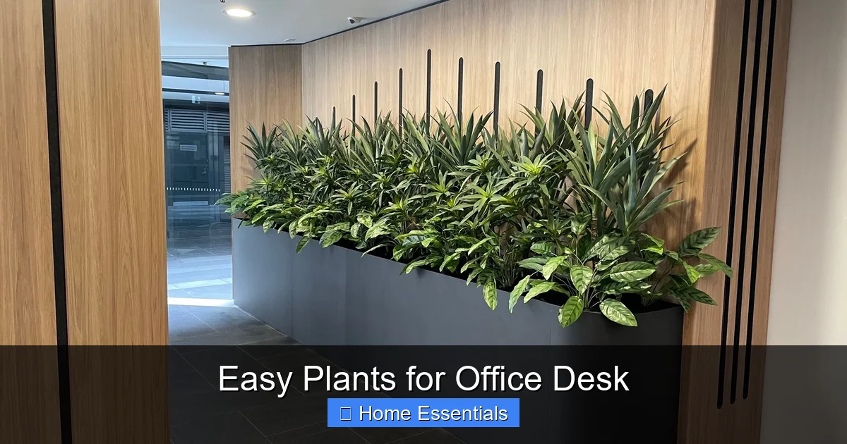 Easy Plants for Office Desk