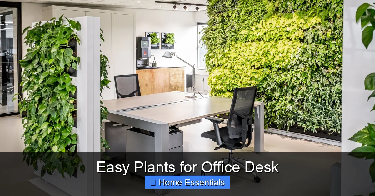Easy Plants for Office Desk