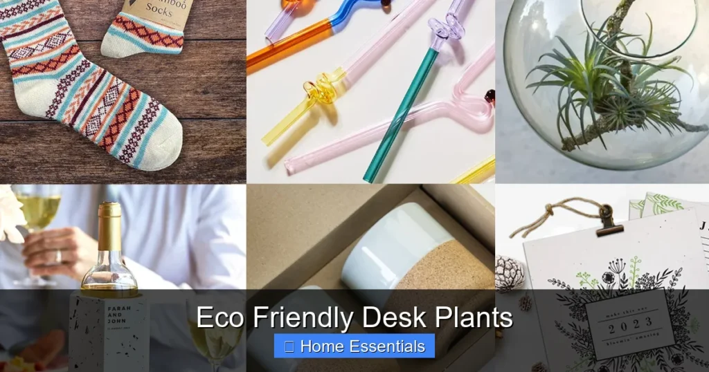 Eco Friendly Desk Plants