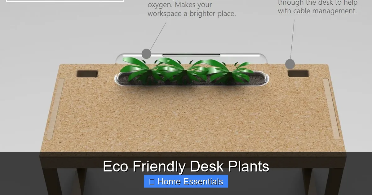 Eco Friendly Desk Plants