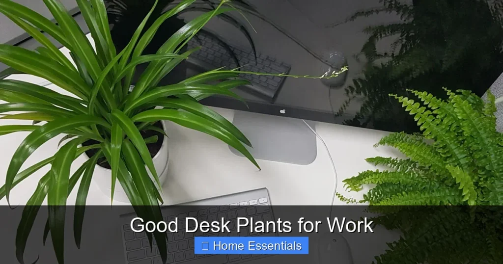 Good Desk Plants for Work