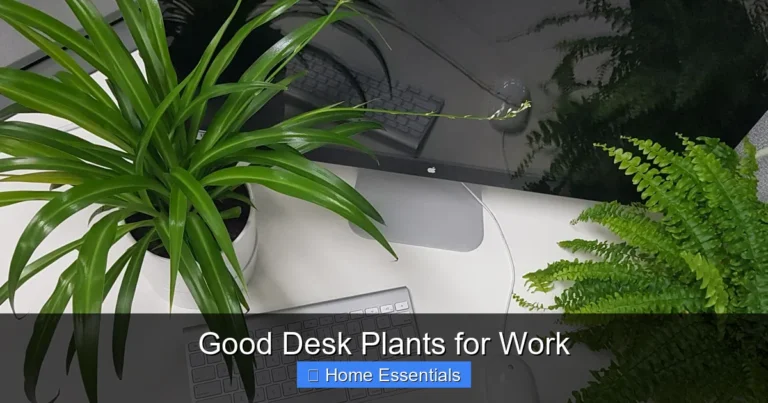 Good Desk Plants for Work
