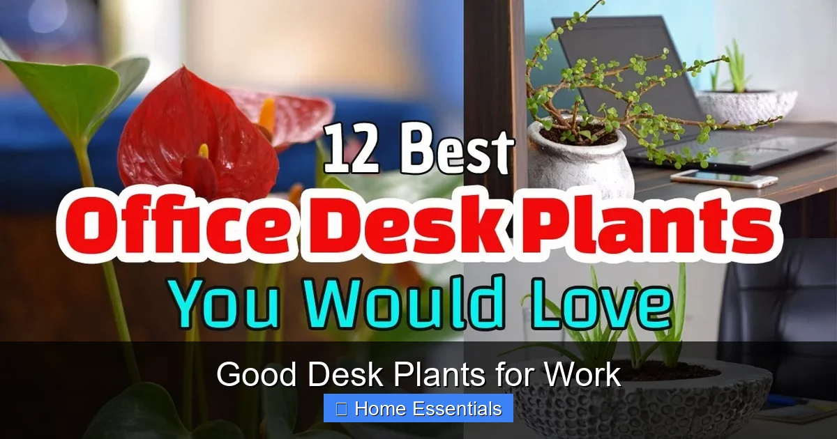 Good Desk Plants for Work