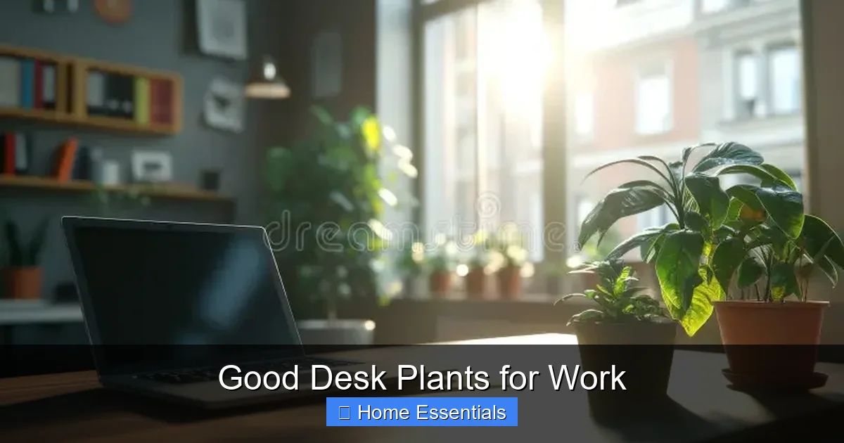Good Desk Plants for Work