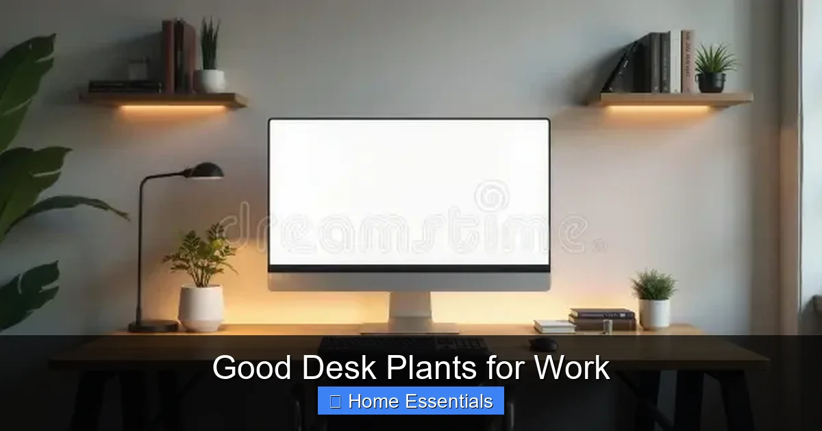 Good Desk Plants for Work