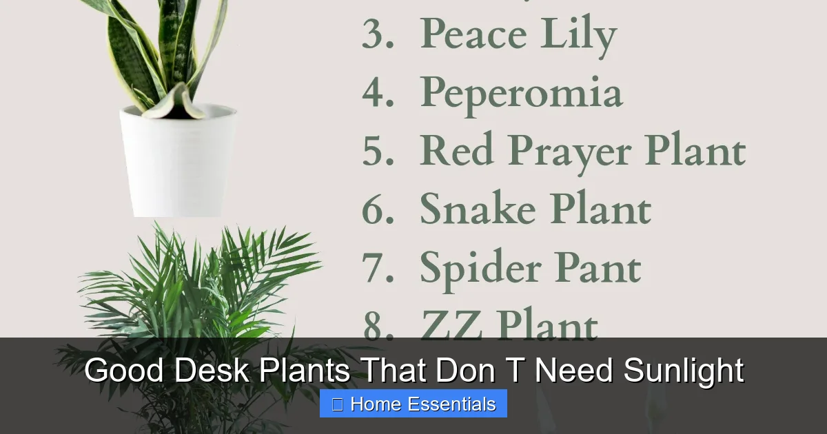 Good Desk Plants That Don T Need Sunlight