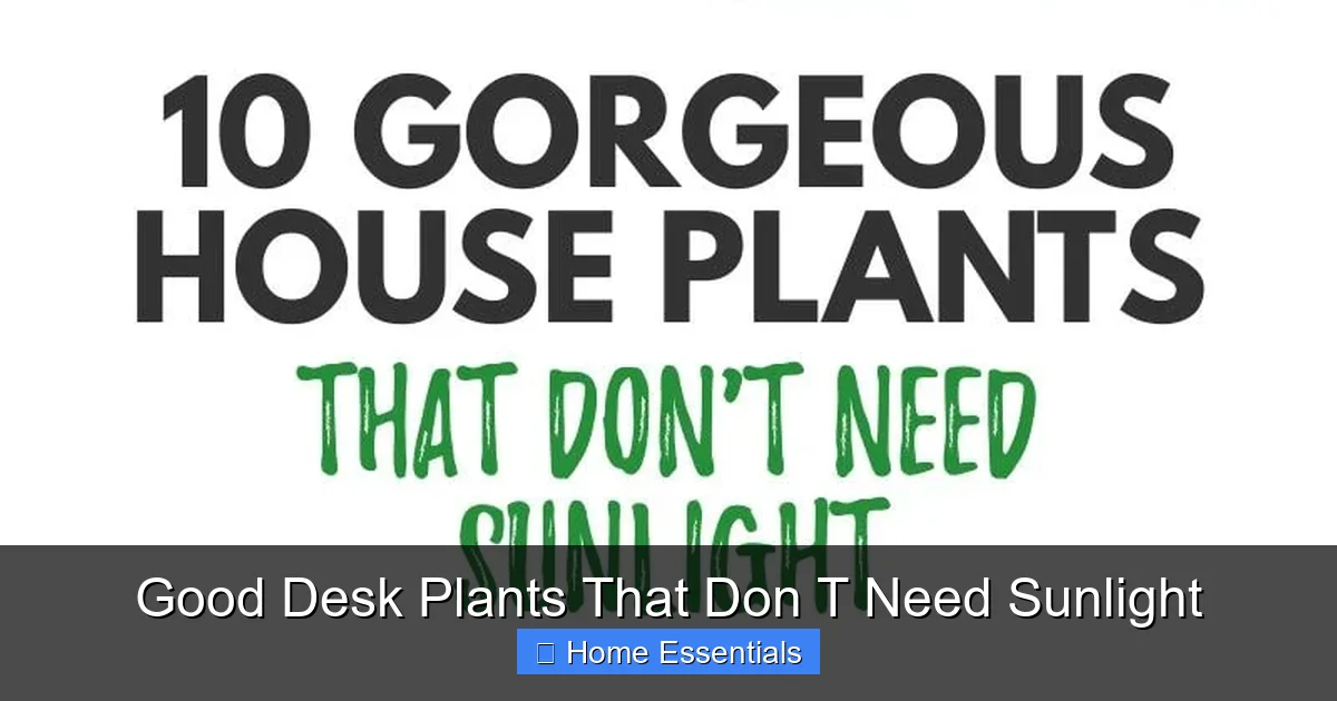 Good Desk Plants That Don T Need Sunlight