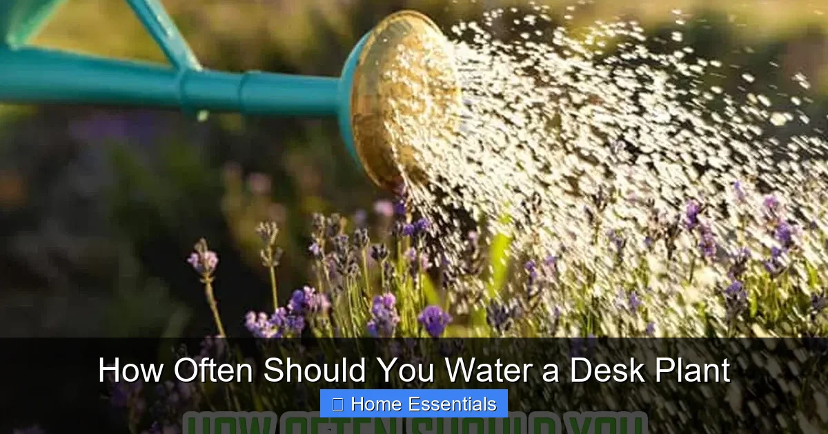 How Often Should You Water a Desk Plant