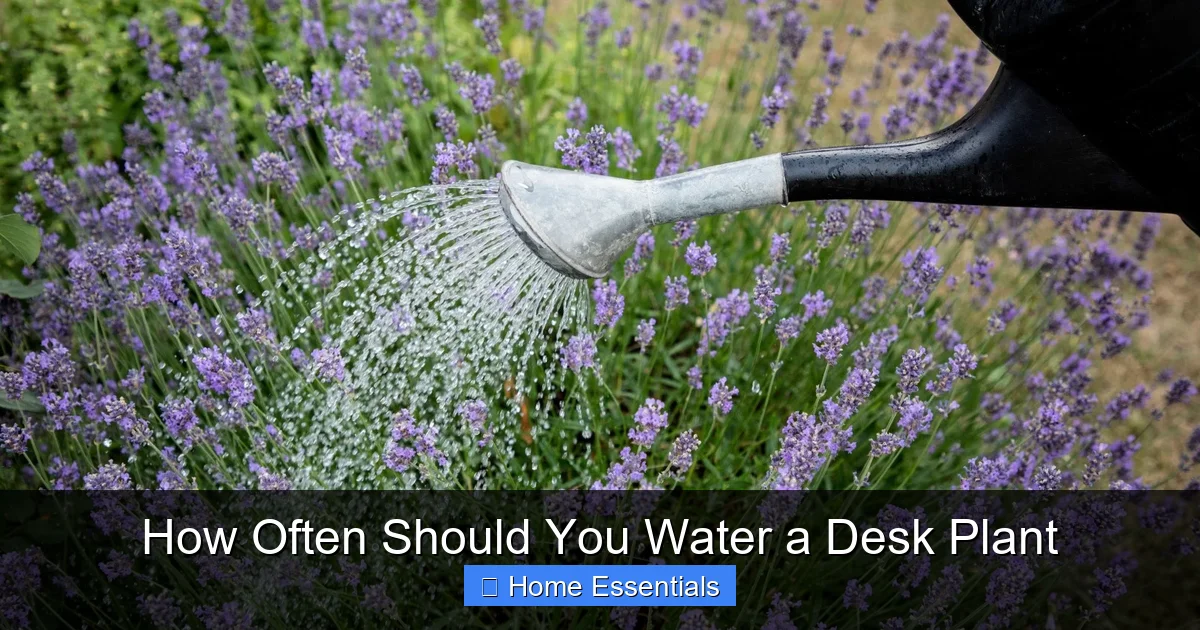 How Often Should You Water a Desk Plant
