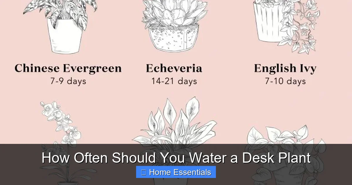 How Often Should You Water a Desk Plant