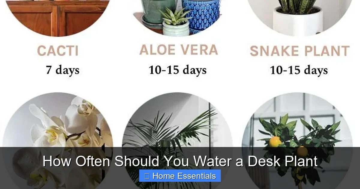 How Often Should You Water a Desk Plant
