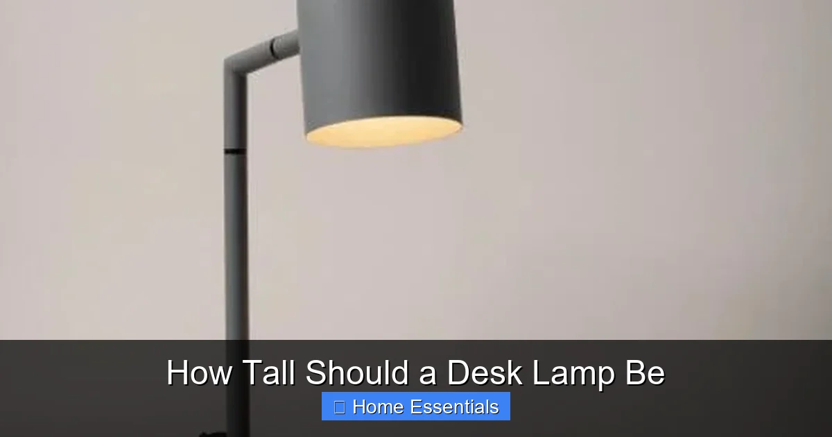 How Tall Should a Desk Lamp Be