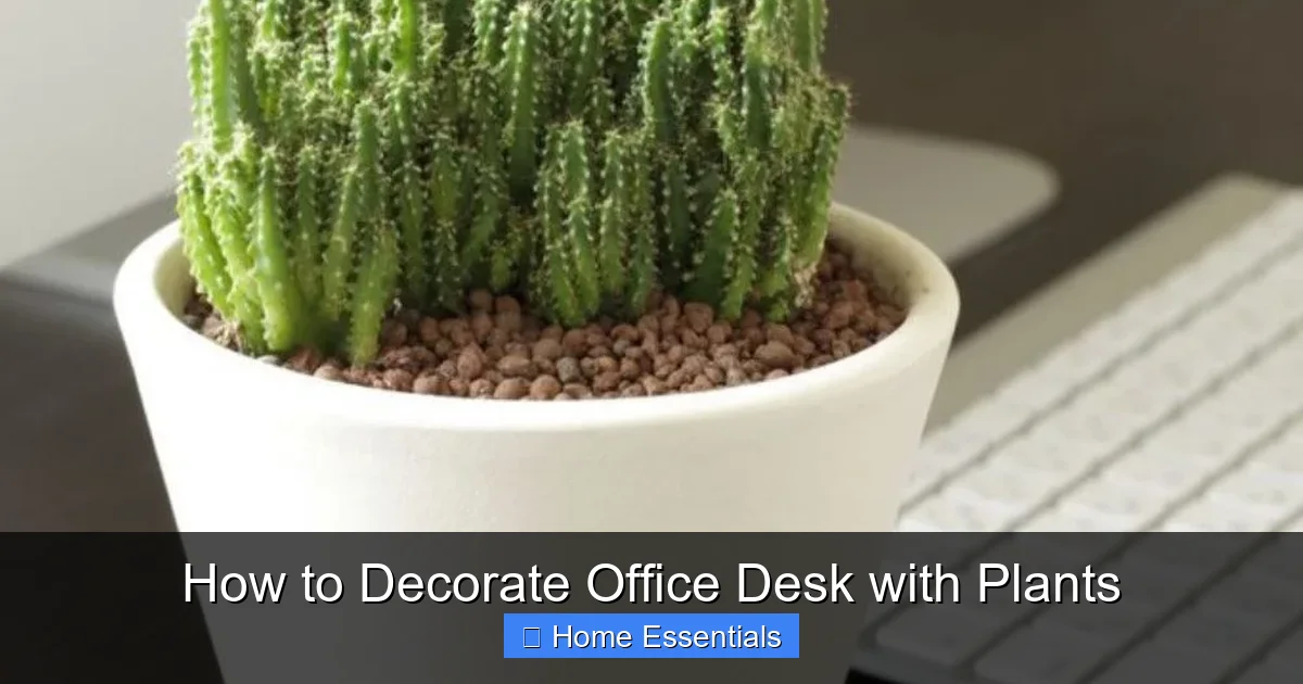 How to Decorate Office Desk with Plants