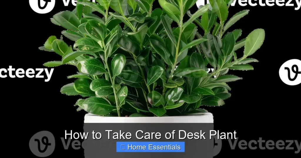 How to Take Care of Desk Plant